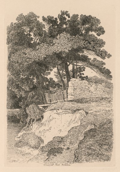 Liber Studiorum: Placa 13, Duncomb Park, Yorkshire: No. 5, 1838 de John Sell Cotman