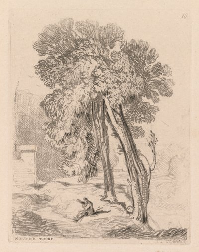 Liber Studiorum: lámina 18, árboles en Norwich Thorp, Norfolk de John Sell Cotman