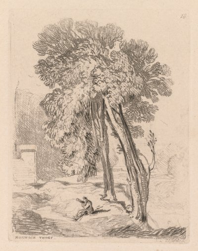 Liber Studiorum: Lámina 18, Árboles en Norwich Thorp, Norfolk, 1838 de John Sell Cotman