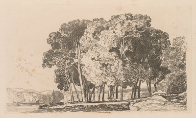 Liber Studiorum: lámina 3, árboles cerca de Twickenham de John Sell Cotman