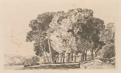 Liber Studiorum: Placa 3, Árboles cerca de Twickenham, 1838 de John Sell Cotman