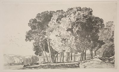 Liber Studiorum: Twickenham de John Sell Cotman