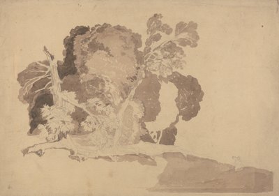 Estudio de los árboles de John Sell Cotman