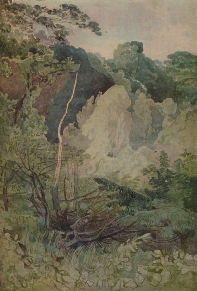 Árboles Cerca del Río Greta de John Sell Cotman