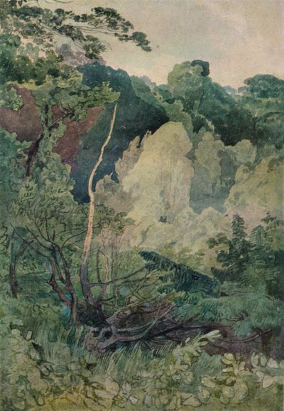 Árboles cerca del río Greta, siglo XIX de John Sell Cotman