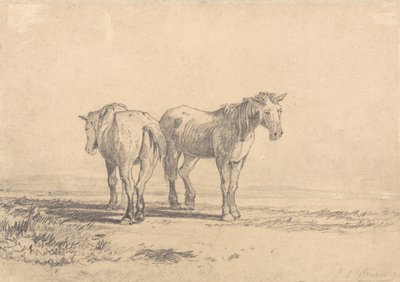 Dos caballos viejos en el campo de John Sell Cotman