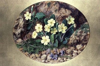 Prímulas y violetas de John Sherrin