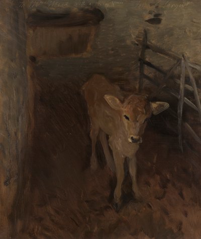 Un becerro de Jersey de John Singer Sargent