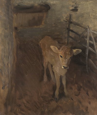 Un ternero de Jersey, 1893 de John Singer Sargent