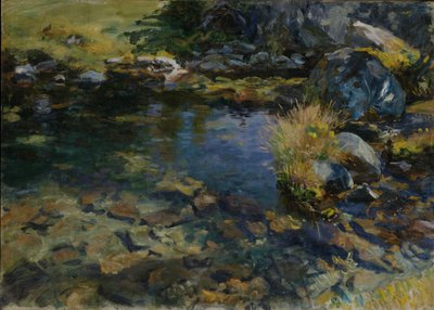 Piscina alpina de John Singer Sargent