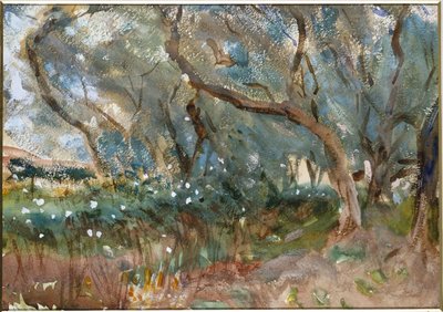 Paisaje, Corfú, 1909 de John Singer Sargent
