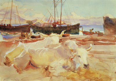 Bueyes en la playa de Baia, c.1908 de John Singer Sargent