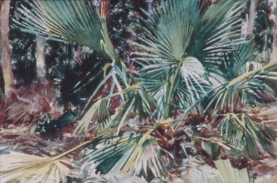 Palmettos de John Singer Sargent