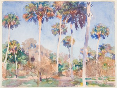 Palmeras, 1917 de John Singer Sargent
