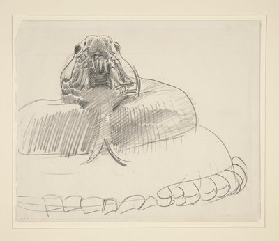 Serpiente de cascabel de John Singer Sargent