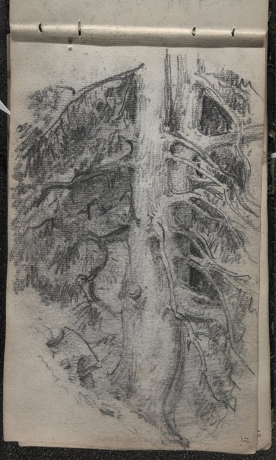 Estudio de un árbol, 1871-72 de John Singer Sargent