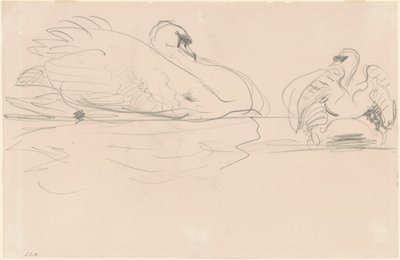 Cisnes en el Agua de John Singer Sargent