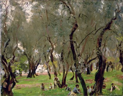 El olivar, c.1910 (óleo sobre lienzo) de John Singer Sargent