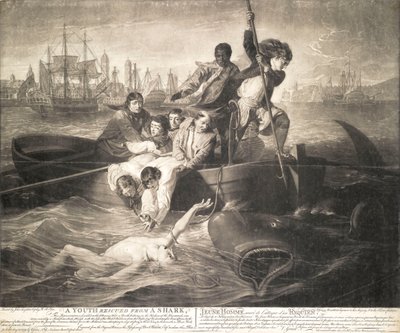 Un joven rescatado de un tiburón de John Singleton (after) Copley