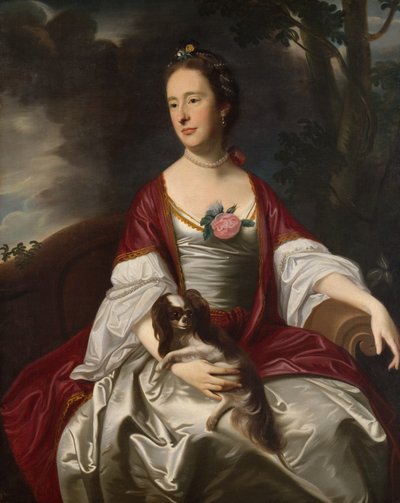 Sra. Jerathmael Bowers, ca. 1763 de John Singleton Copley