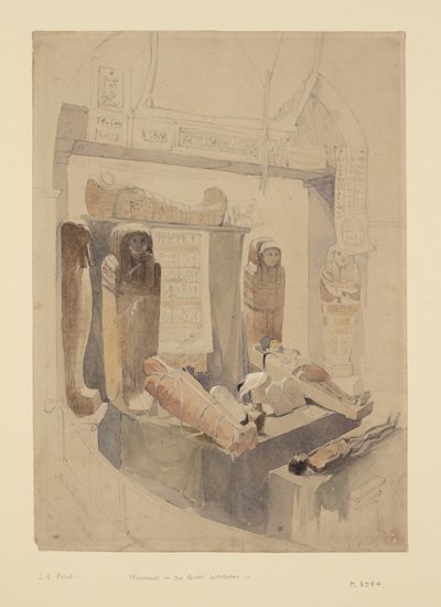 Momias en la Institución de Bristol, c.1834 de John Skinner Prout