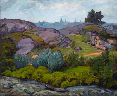 Sendero entre rocas y arbustos de John French Sloan