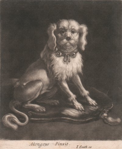 Un perro pequeño, con collar. de John Smith