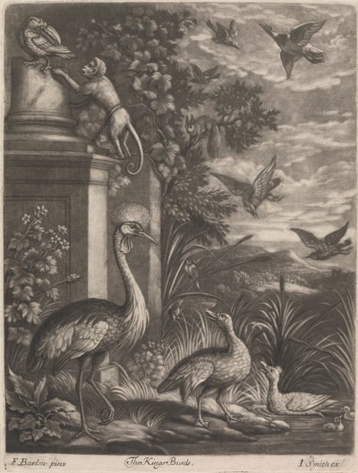 Los Reyes Pájaros de John Smith