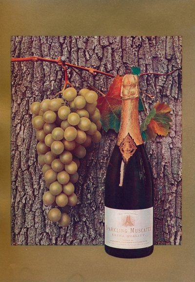 Un anuncio de Sparkling Muscatel, c. 1908 de John Swain and Son