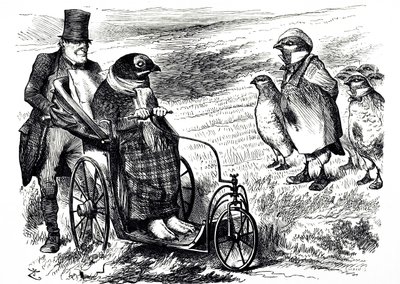 Una caricatura comentando la suspensión de la caza de urogallos para permitir la reconstrucción de la población. Ilustrado por John Tenniel (1820-1914), un ilustrador inglés, humorista gráfico y caricaturista político de John Tenniel
