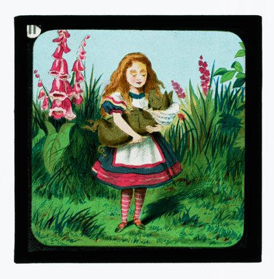 Alicia en el País de las Maravillas, diapositivas coloreadas de John Tenniel