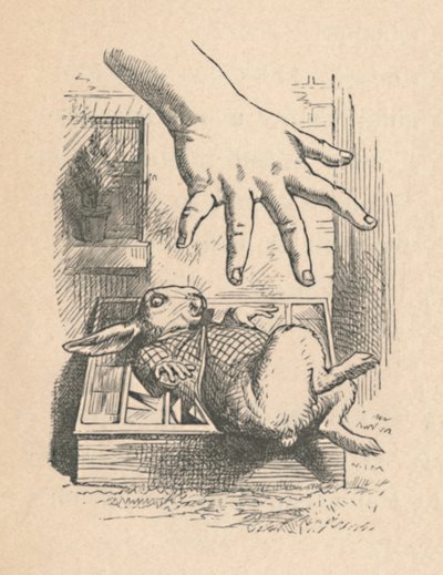 Alicia poniendo su mano hacia el Conejo Blanco, 1889 de John Tenniel