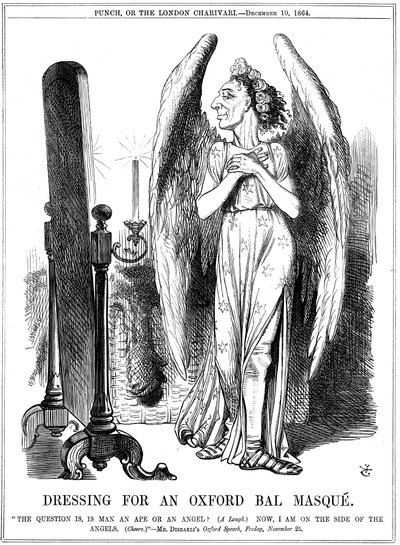 Benjamin Disraeli, conservador británico, caricatura de Punch, 1864 de John Tenniel