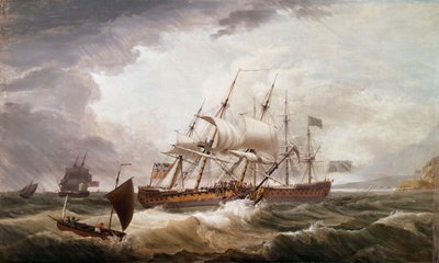 Terceros en un mar embravecido de John Thomas Serres