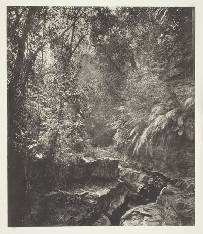 Un puerto de montaña en Formosa de John Thomson