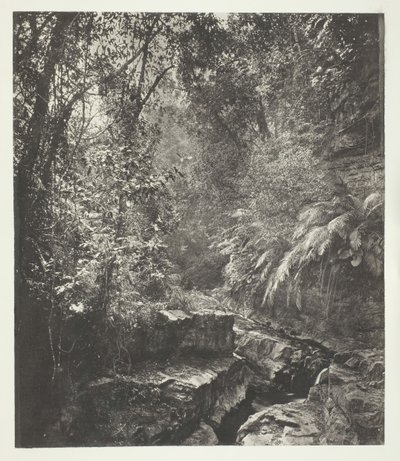 Un Paso de Montaña en Formosa de John Thomson