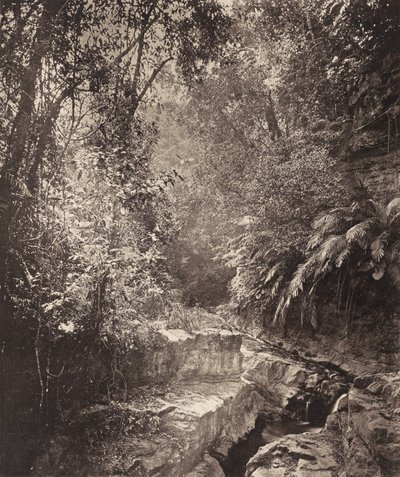 Un puerto de montaña en la isla de Formosa de John Thomson