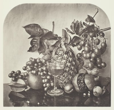 Fruta de John Thomson
