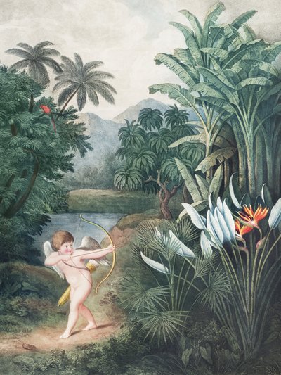 «Cupido inspirando a las plantas con amor», del «Templo de Flora» (1807), de Robert John Thornton de John Thornton