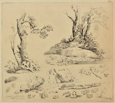 Hoja de estudios de troncos de árboles y follaje de John Varley