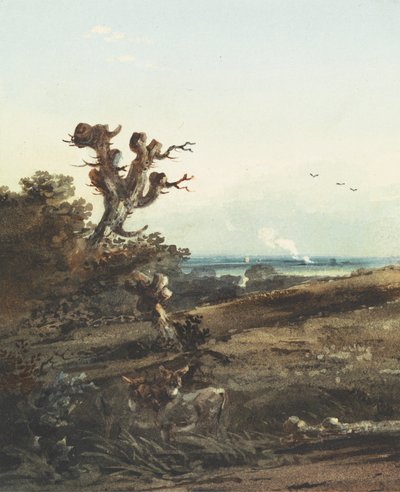 Dos burros en un paisaje de John Varley
