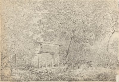 Toopapaoo de un jefe, con un sacerdote haciendo su ofrenda a los morai, en Huoheine. de John Webber