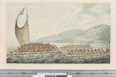 Tereoboo, Rey de Owyhee, trayendo regalos al Capitán Cook de John Webber