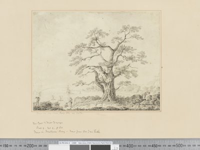 Vista en la orilla del mar, gran árbol en el centro de John Webber