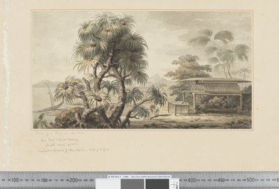 Vista de una tumba en la orilla del mar de John Webber