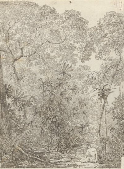 El palmito de Cracatoa de John Webber