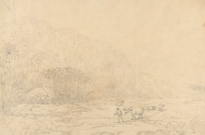 Vista en la isla de Pulo Condore de John Webber