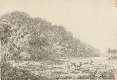 Vista en la isla de Pulo Condore de John Webber