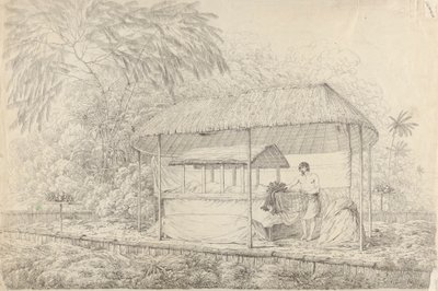 Waheiadooa, jefe de Oheitepha, yace en el estado de John Webber