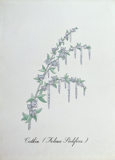 Catkin (Felina Prolifica.), ilustración de 